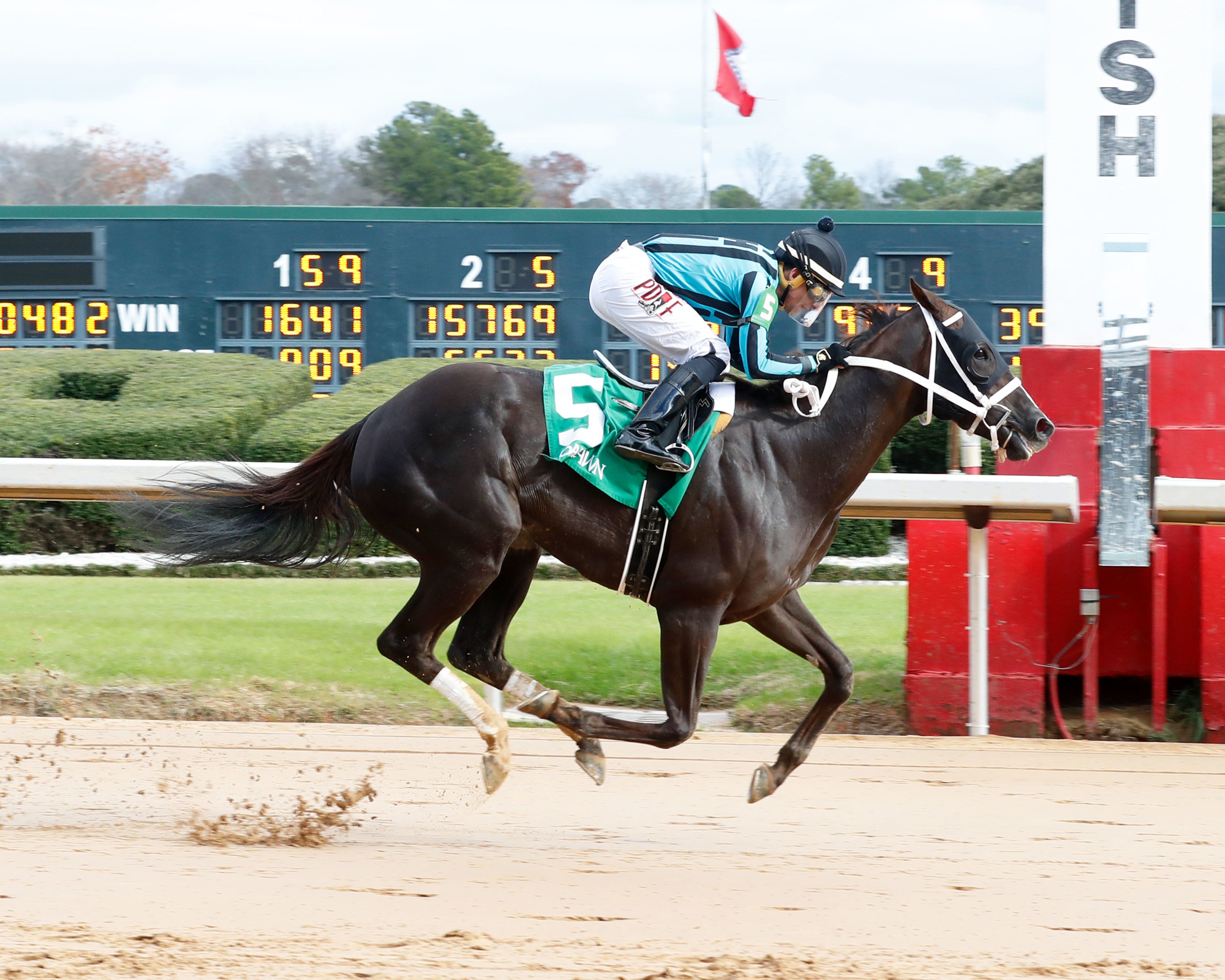 Back to Ohio will get break before stakesladen 2024 campaign